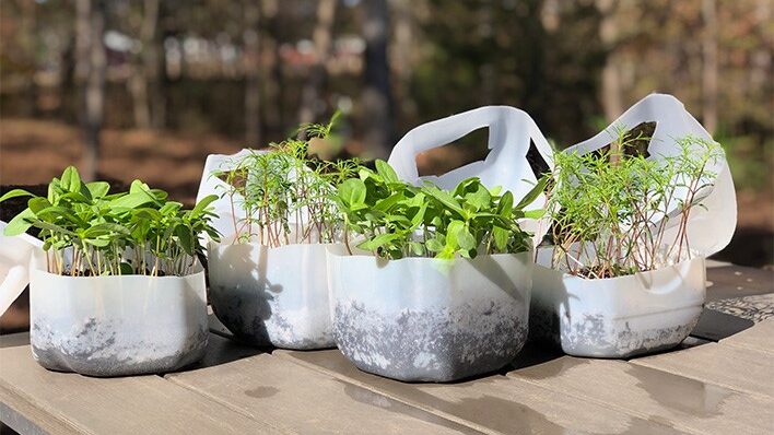 Vessünk virágot, zöldséget télen?